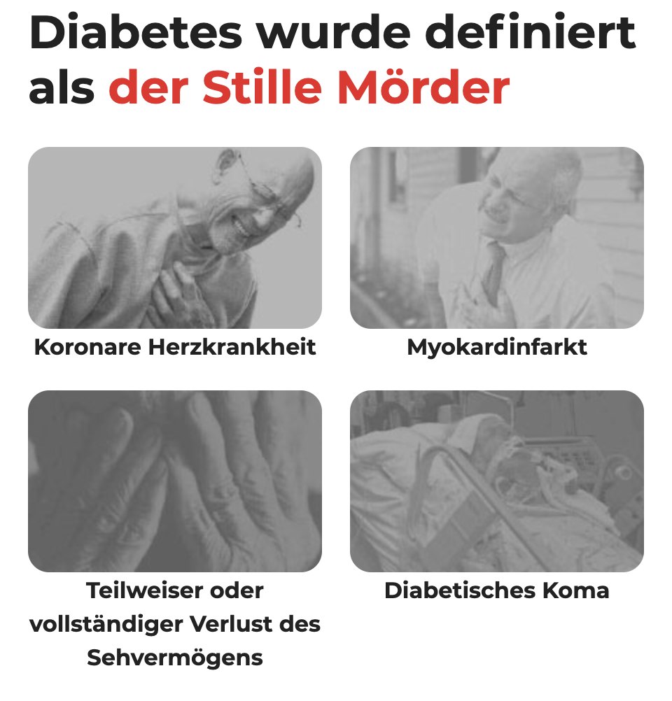 Zucker-Stoffwechsel
